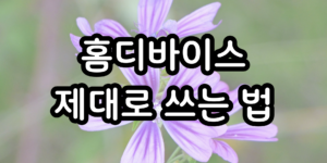 홈디바이스