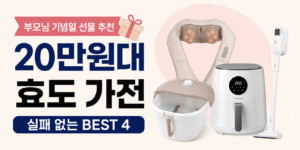 20만원대 선물