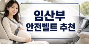 임산부 안전벨트