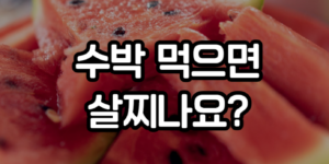 수박 다이어트