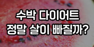 수박 다이어트