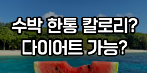 수박 한통 칼로리