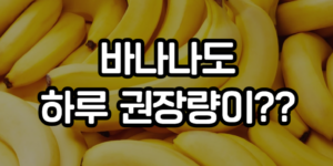 바나나 하루 권장량