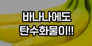 바나나 탄수화물