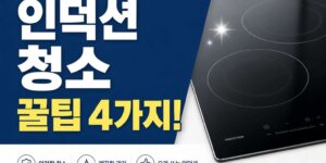 인덕션 청소