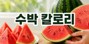 수박 칼로리