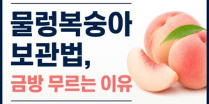물렁복숭아 보관법, 금방 무르는 이유